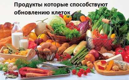 ​Продукты которые способствуют обновлению клеток