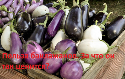 ​Польза баклажанов. За что он так ценится?