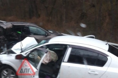 Трое детей госпитализированы, двое человек погибли в жутком ДТП