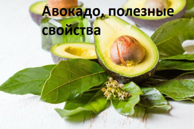 ​Авокадо, полезные свойства