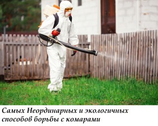 Самых Неординарных и экологичных способов борьбы с комарами