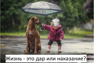 Жизнь - это дар или наказание?